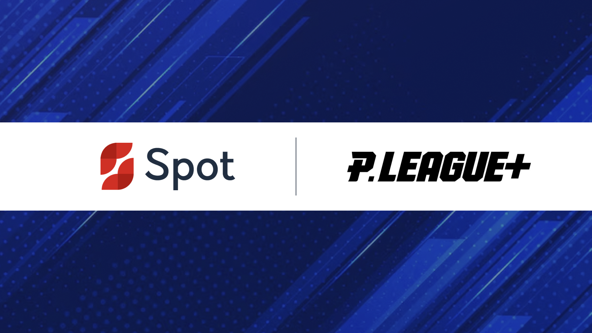 Spot features spot studio spot ai automated solutions